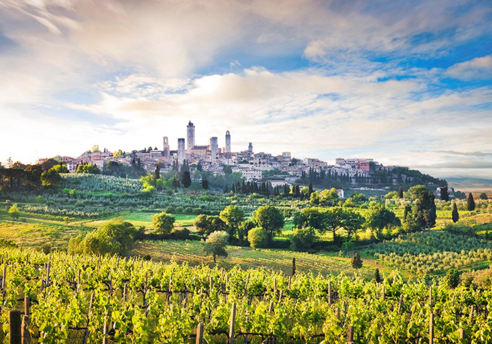 SAN GIMIGNANO TERZA NELLA CLASSIFICA MONDIALE DI TRIVAGO
Migliore reputazione online
